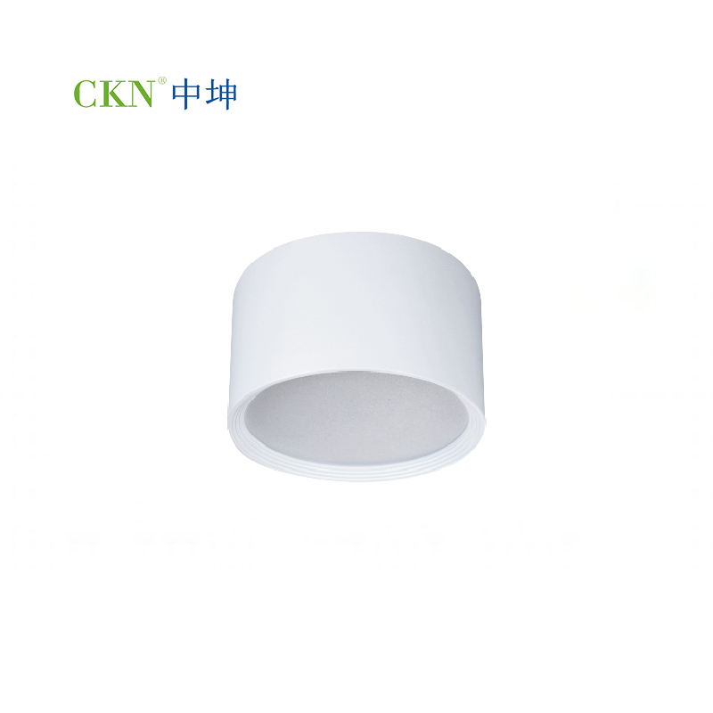 SURFACE MOUNTED DOWNLIGHT