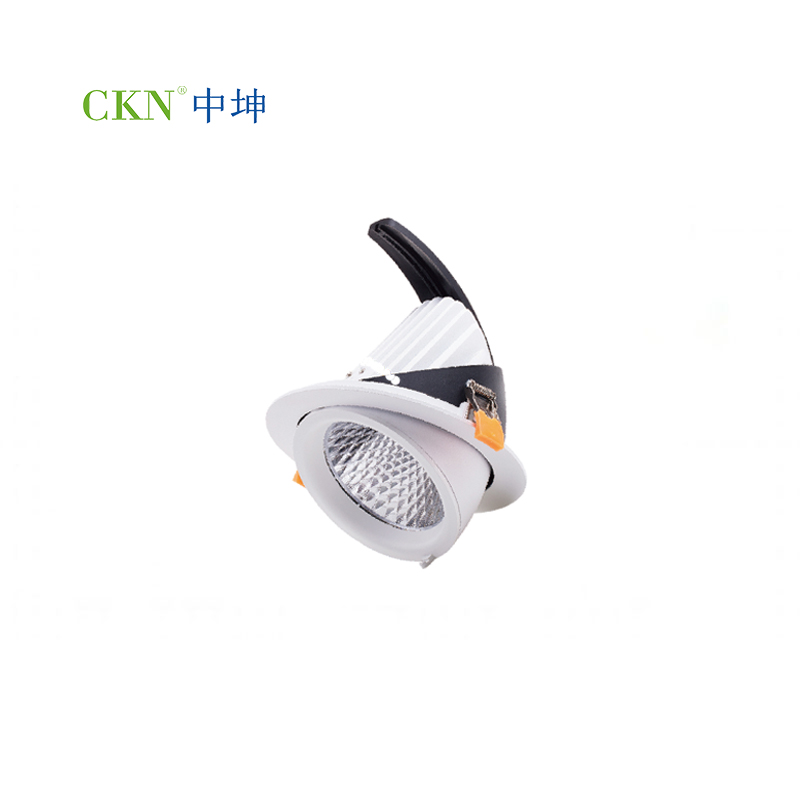 CKN-TD605 LED象鼻灯10W~40W