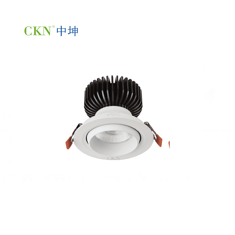 CKN-CD001-2 LED天花射灯35W